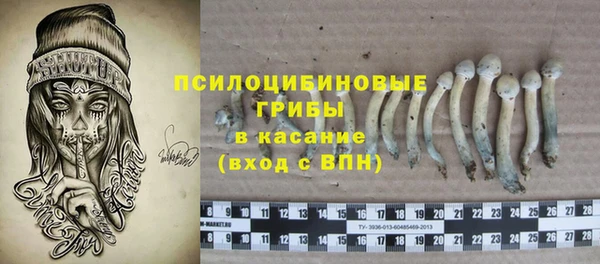 шишки Абдулино