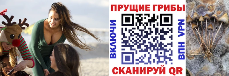 Галлюциногенные грибы мицелий  Приволжск 